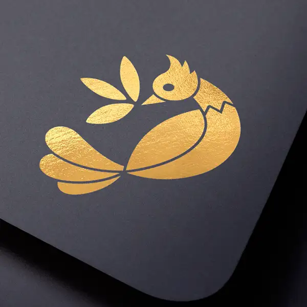 jokoni logo design condimente